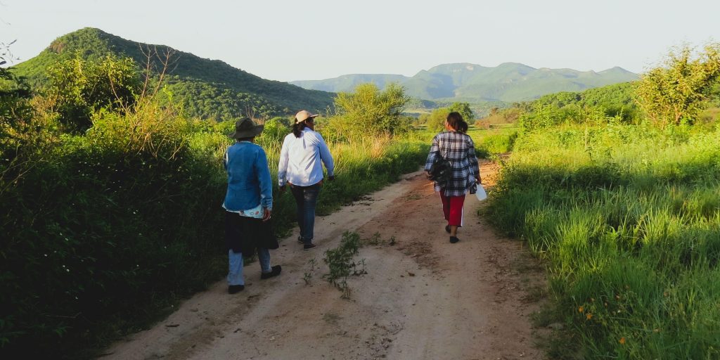 Mujeres caminando por un camino en el campo